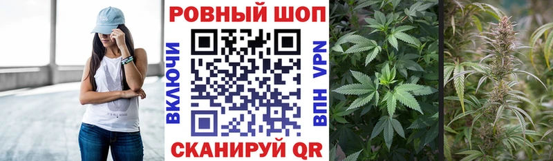 Где продают наркотики Карачаевск МАРИХУАНА  Мефедрон  Галлюциногенные грибы  ГАШИШ  Амфетамин 