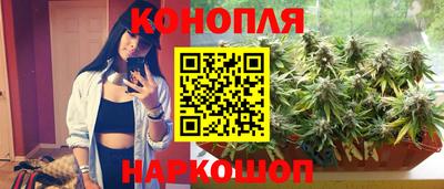 трава Бийск