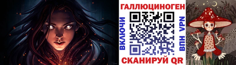 Псилоцибиновые грибы Psilocybine cubensis  где найти наркотики  Карачаевск 