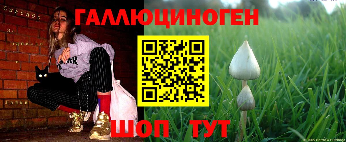 Псилоцибиновые грибы мухоморы Карачаевск