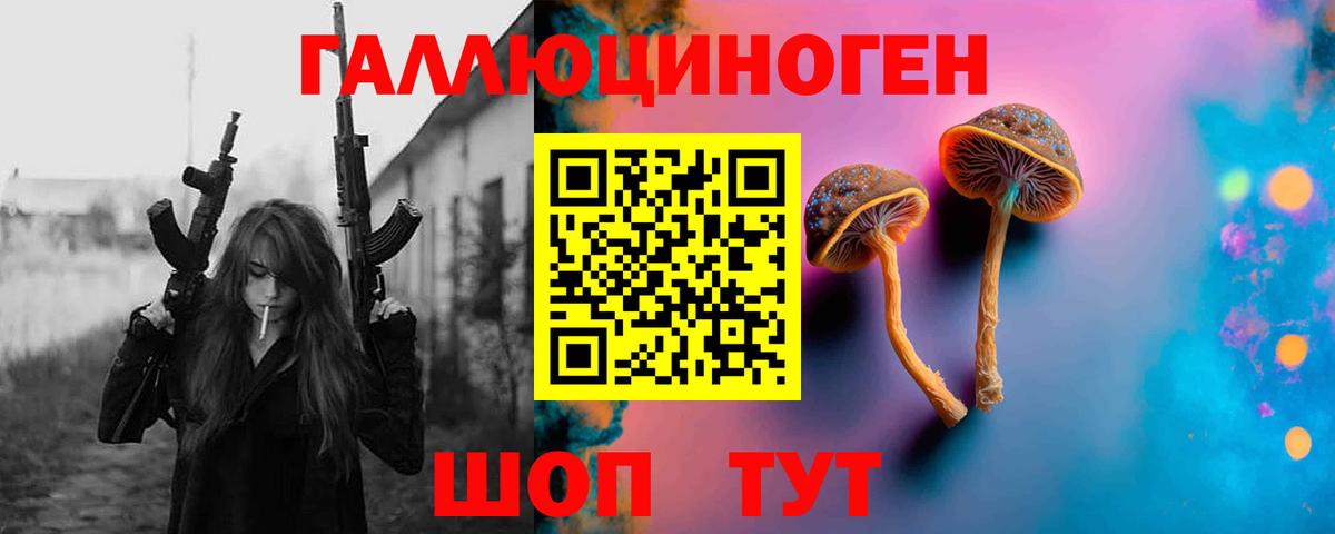 Карачаевск  Галлюциногенные грибы мицелий  Вход с VPN  Псилоцибиновые грибы MAGIC MUSHROOMS 